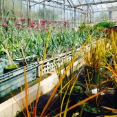 photo_2