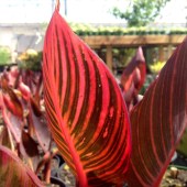 photo_3