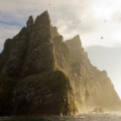 Northern, gannets, remote, steep, cliff, St Kilda