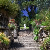 Tresco Abbey Gardens, Isles of Scilly, coast, character, sea
