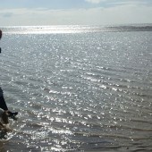 Basil, beach, Michael, challenge, walking, Dogs Trust, charity, campaign