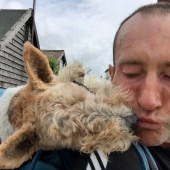 Basil, beach, Michael, challenge, walking, Dogs Trust, charity, campaign