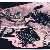 Tom Jay, illustration, illustrator, coast, magazine, maya plass, wildlife, column