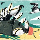 Tom Jay, illustration, illustrator, coast, magazine, maya plass, wildlife, column