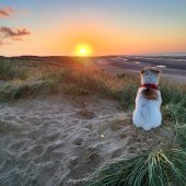 beside_the_sea_2