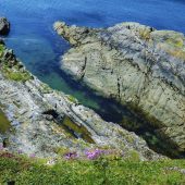 CELLAR BEACH CIRCULAR