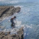 CELLAR BEACH CIRCULAR