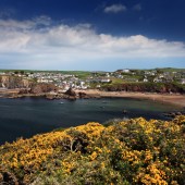 HOPE COVE TO SALCOMBE, DEVON ‘Walking on coastal paths is a favourite of mine. This stretch is hilly so not only can you enjoy breathtaking views, you’re exposed to the elements. I like it best on blustery days where you can feel the energy in the atmosphere.’