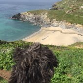 down_the_cove