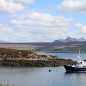 FOR WILDLIFE WATCHING Hebrides Cruises, Inner Hebrides, Scotland