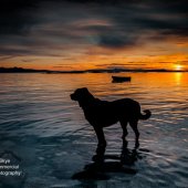 landscape_skye