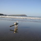 newport_pembs