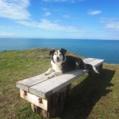 ynys_barry