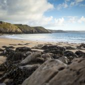 barafundle_bay_stackpole_cnational_trust_images_john_miller_1
