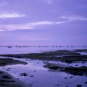 blakeney_point_cnational_trust_images_joe_cornish