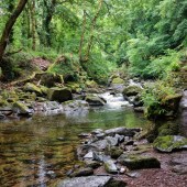 GLEN LYN GORGE Lynmouth EX35 6ER