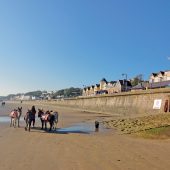 1. FOR DONKEYS Little Rascals, South Bay, Scarborough, & Cobble Landing, Filey, North Yorkshire