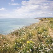 iow_ccbysa_15599444371_426e7d89f2_o_web