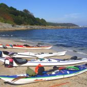 WILD FOODS BY SEA KAYAK CORNWALL