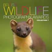 British Wildlife Photography Awards Collection 7, AA Publishing.