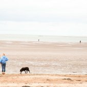 couple-dog-beach