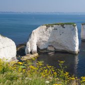 OLD HARRY ROCKS Photo: Jo Chambers/Shutterstock