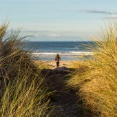 Findhorn Beach, Forres, Moray Firth, orca, Scotland, wildlife, whales, whale