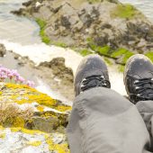 djtaylor_shutterstock_102821978