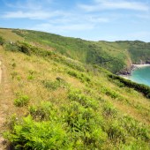 mike_charles_shutterstock_149028770