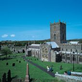 8. FOR ANGELS & INSECTS: St Davids, Pembrokeshire