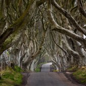 The fictional King's Road
