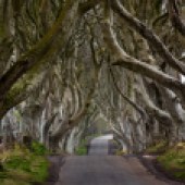 The fictional King's Road