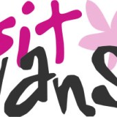 vsb_logo