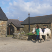 Saddle up for a horse-riding lesson at Clyne Farm