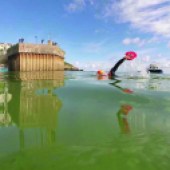 Join SeaSwim Cornwall for an open-water event