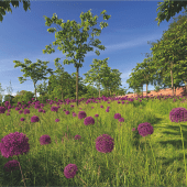 The Alnwick Garden, Alnwick, Northumberland