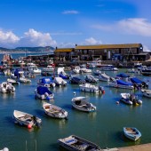 alicjaw_shutterstock_564162763