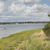 8. FOR A CASTAWAY FEEL NORTHEY ISLAND, ESSEX