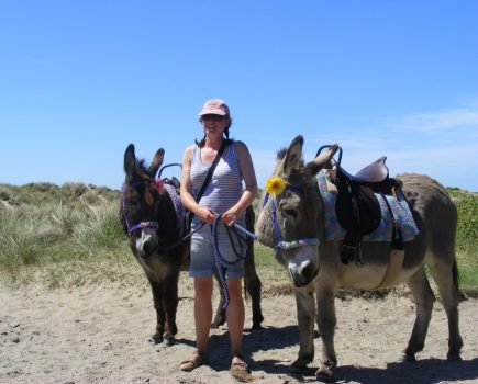 30_the_dyfi_donkeys_in_the_sand_dunes