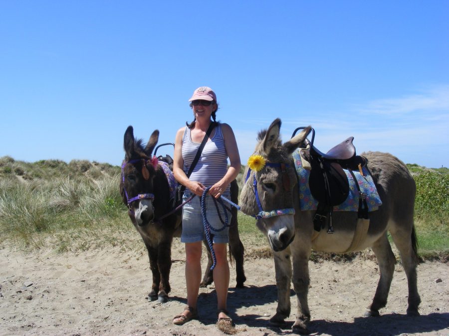 30_the_dyfi_donkeys_in_the_sand_dunes