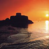 fort_grey