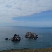 gannets_alderney_2016-09-23_11