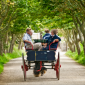 horse_and_carriage_web