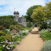 sark_path_3_zoe_ash_web