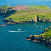 skomer_web