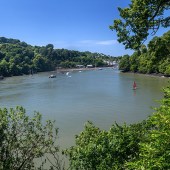 View from the hill to the Dart River next to Dittisham. Photo: Alexey Lobanov