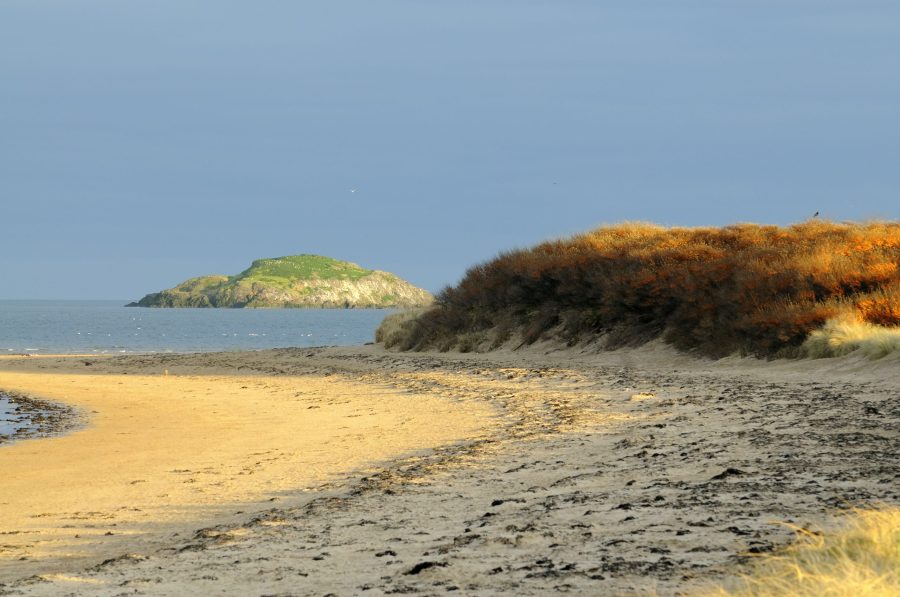 yellowcraig_beach