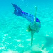 03_michelle_underwater_cropped