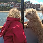 35. This is Alf, our seven-year-old Border terrier cross. He loved his weekend break at Staithes in Yorkshire, especially digging in the sand and swimming in the harbour. His favourite part of the weekend was taking a boat trip from Whitby. Here he is enjoying the view! Katie Rivett 