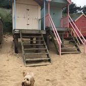 39. Here's a picture of my ‘SeaDog’ Ben, he is three years old and a Cockapoo - just rather a larger size. He loves coming to North Norfolk and gets very excited when he sees the sand and the sea. He loves getting wet in the sea and seems to like shaking his soggy fur all over me and my parents. Here Ben is posing in front of his favourite beach huts at Wells-Next-To the Sea. We holiday in Norfolk quite a bit and both loved your article about Wells-next-the-Sea in your October issue of Coast! Sophie